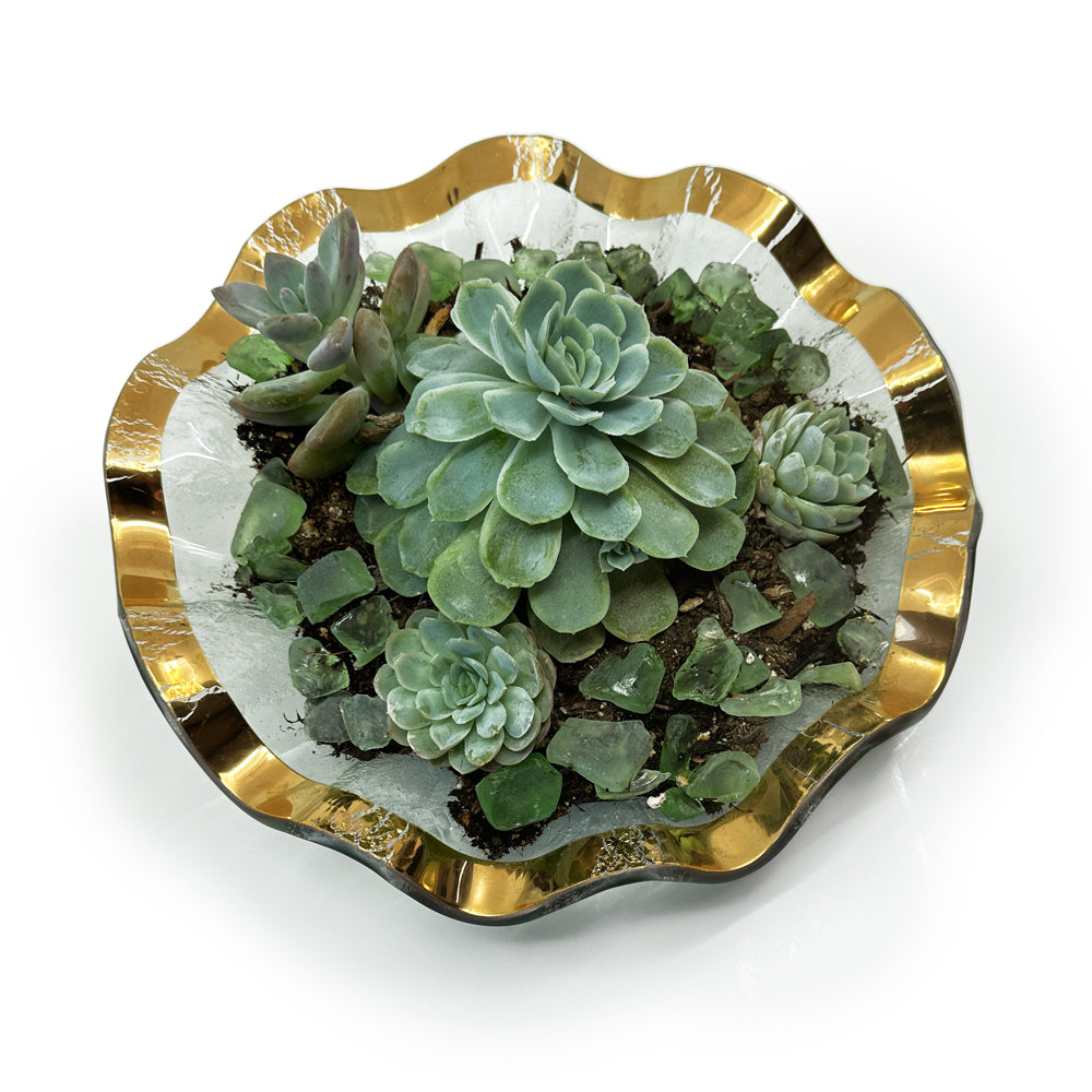 Annieglass ruffle planter trimmed in 24K gold, containing a succulent garden with various plants and sea glass.